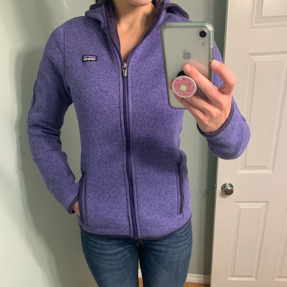 Patagonia Hooded Better Sweater